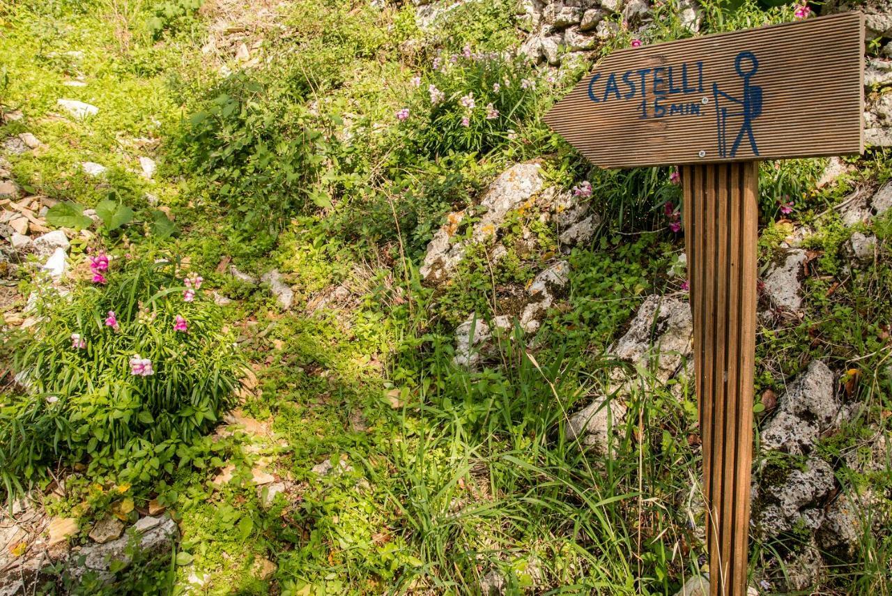Castelli Olive Press Casa de hóspedes Acharavi  Exterior foto